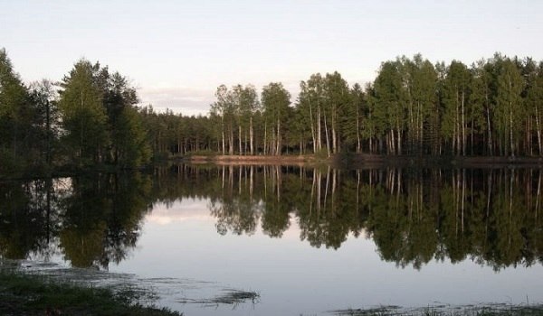 Последняя поездка
